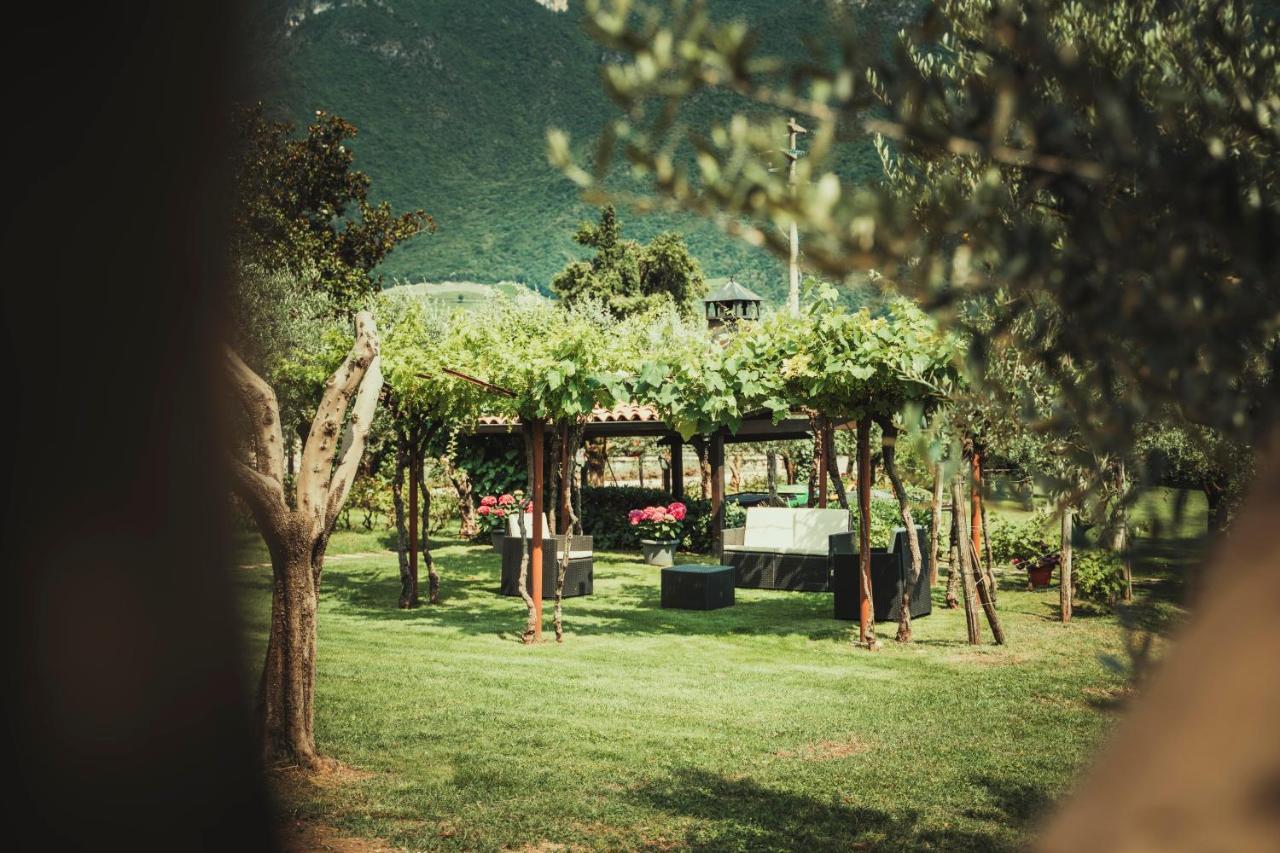 Az. Agr. Tenuta La Casetta Mama di Sopra Exteriér fotografie