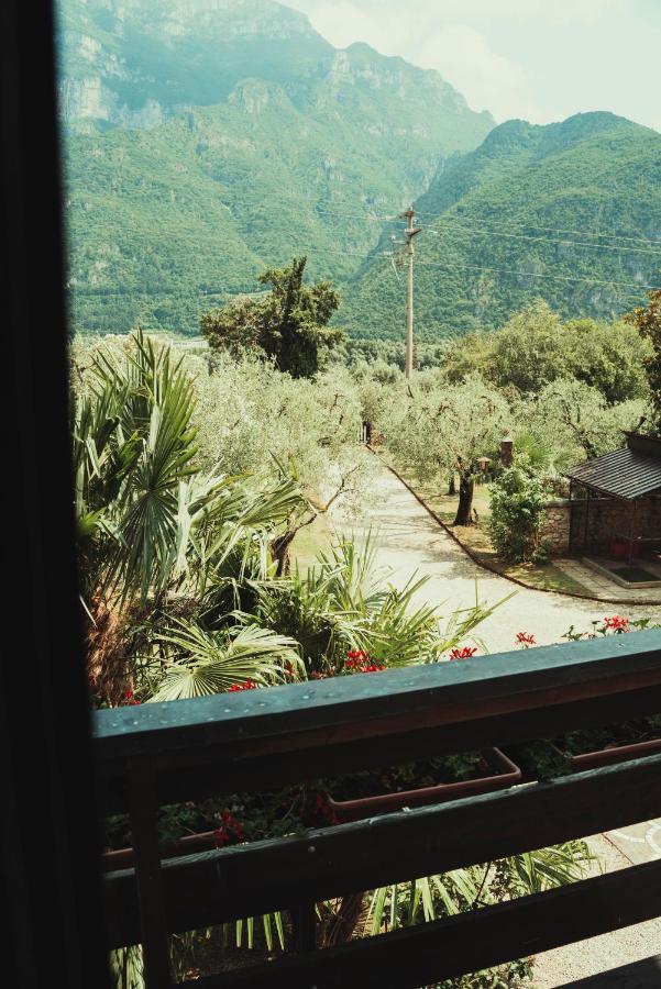 Az. Agr. Tenuta La Casetta Mama di Sopra Exteriér fotografie