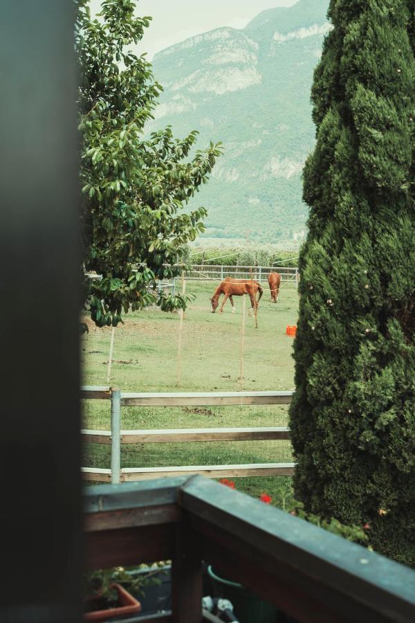 Az. Agr. Tenuta La Casetta Mama di Sopra Exteriér fotografie